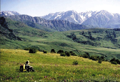 Zentralasien, Kasachstan: Auf Gletscherpfaden ins Himmelsgebirge - Grne Wiesen am Tienschan